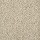 Stanton Carpet: Everglades Western Sand